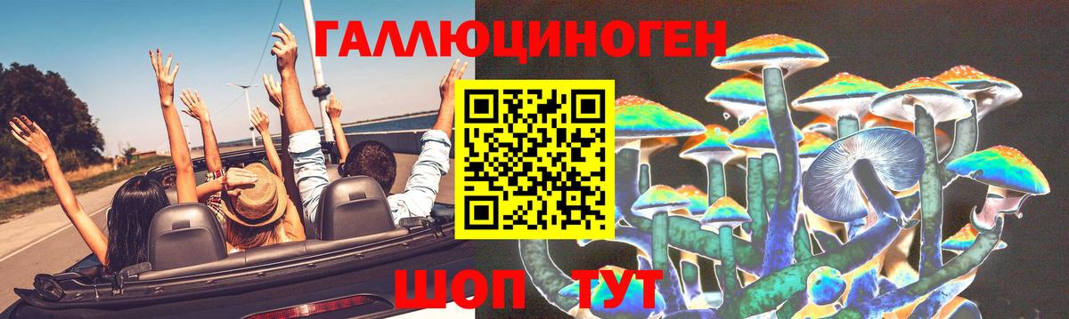 Баксан  Псилоцибиновые грибы Psilocybine cubensis  Псилоцибиновые грибы прущие грибы  Вход с VPN 